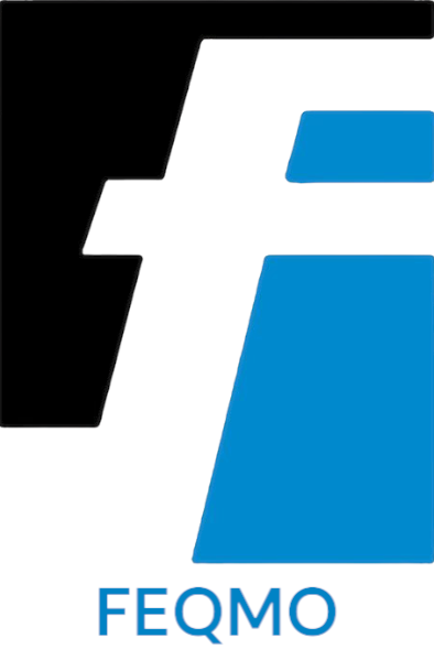FEQMO Logo